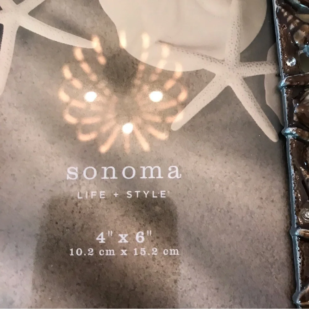 🐚Starfish Metal Frame